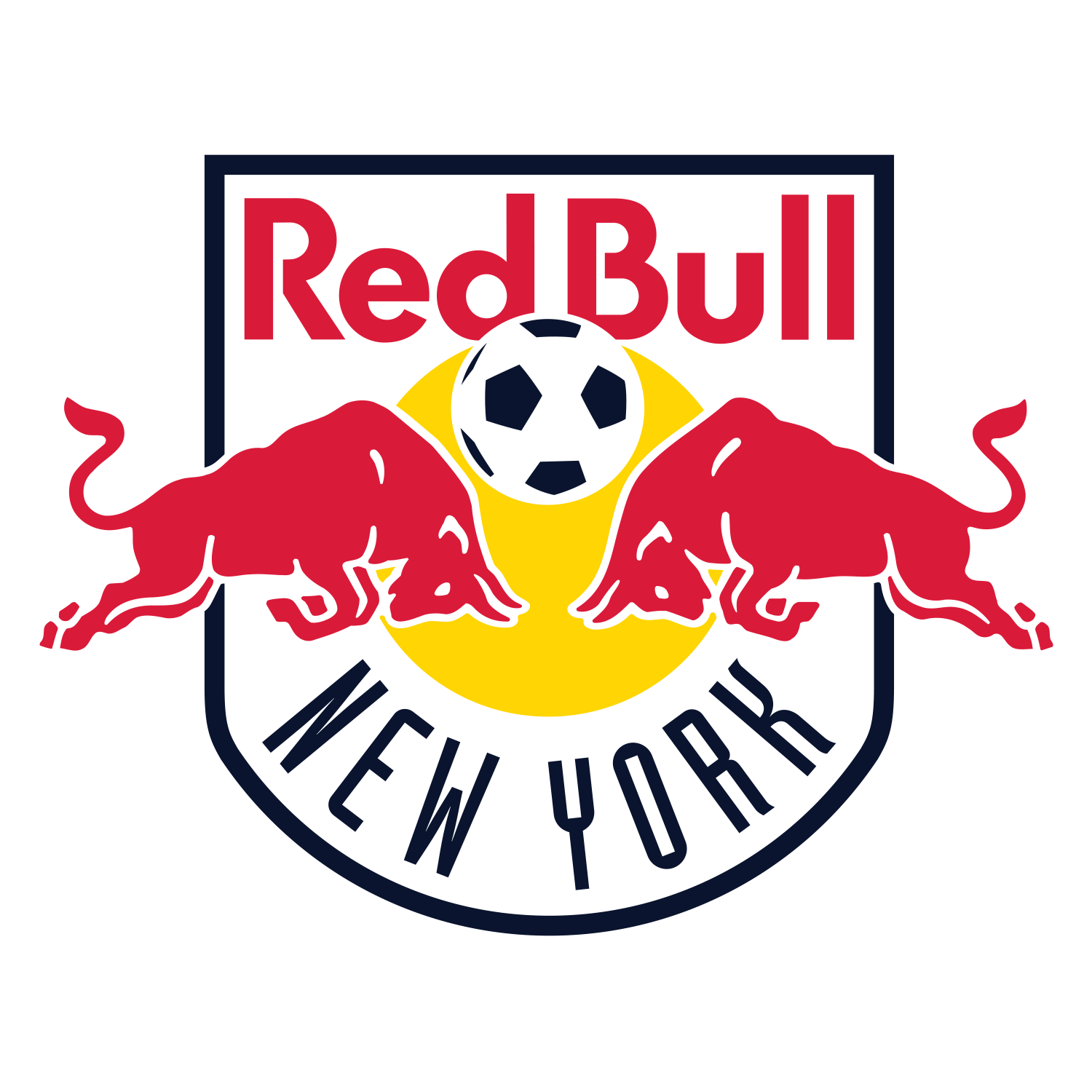 Long Island Junior Soccer League logo
